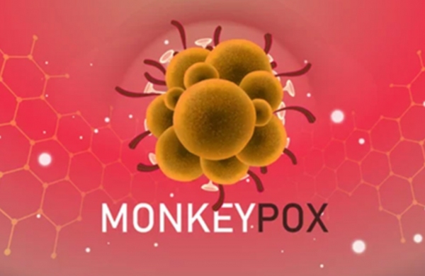 monkeypox updates