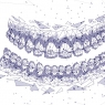 AI in orthodontics