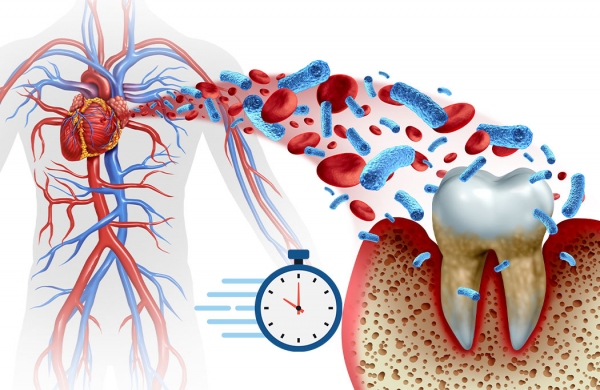 Biological aging mediates the association between periodontitis and cardiovascular disease: Results from a national population study and Mendelian randomization analysis