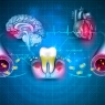 Periodontal disease and atherosclerotic cardiovascular disease